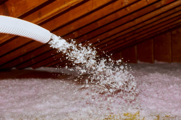 Best Energy Efficiency Solutions in Garden City, SC