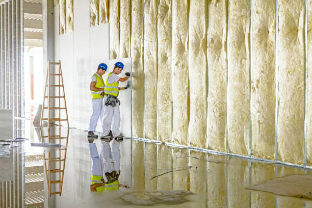 Best Residential Insulation in Garden City, SC